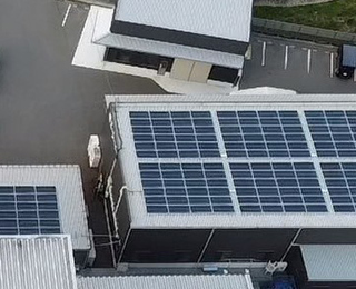 グリーンライントラスト