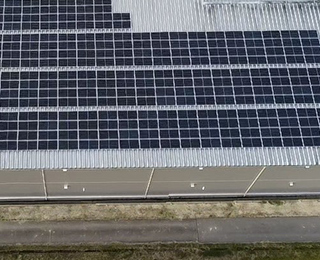 グリーンライントラスト